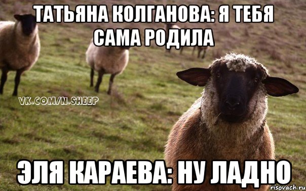 Татьяна Колганова: я тебя сама родила Эля Караева: Ну ладно, Мем  Наивная Овца