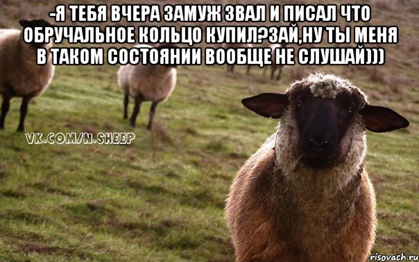 -Я тебя вчера замуж звал и писал что обручальное кольцо купил?Зай,ну ты меня в таком состоянии вообще не слушай))) , Мем  Наивная Овца