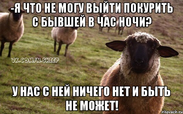 -Я что не могу выйти покурить с бывшей в час ночи? У нас с ней ничего нет и быть не может!, Мем  Наивная Овца