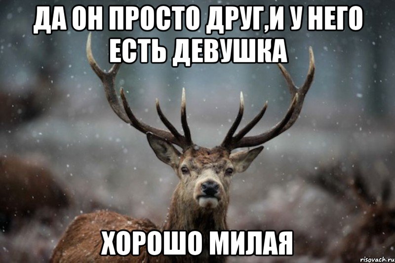 да он просто друг,и у него есть девушка хорошо милая