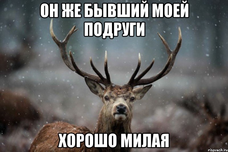 он же бывший моей подруги хорошо милая