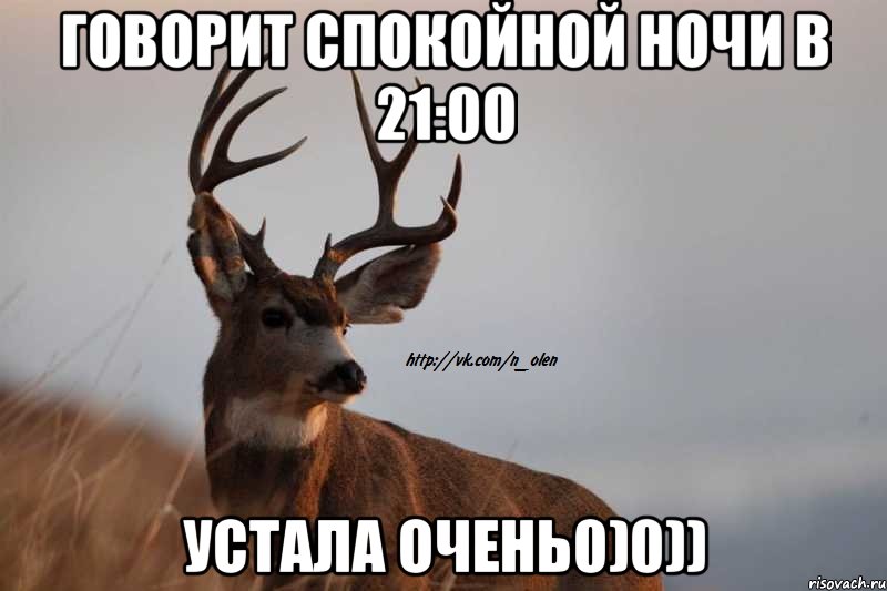говорит спокойной ночи в 21:00 устала очень0)0)), Мем Наивный Олень
