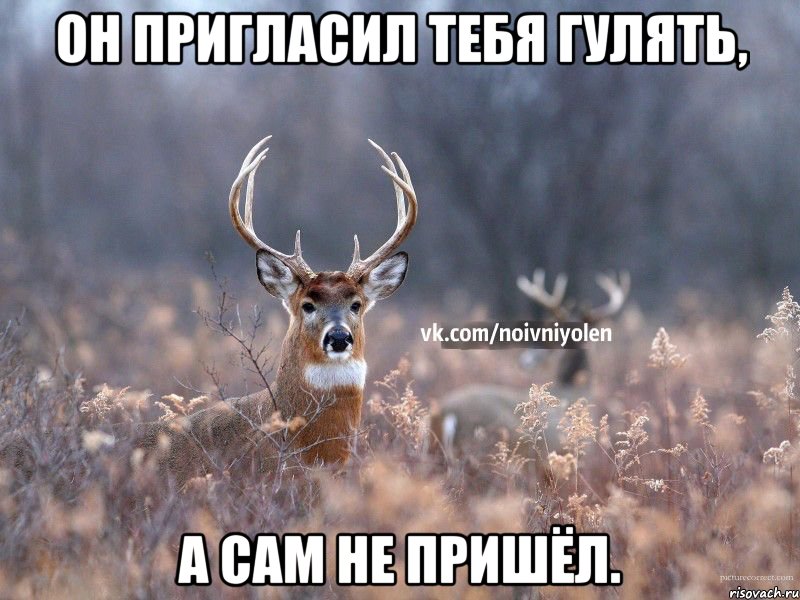 Он пригласил тебя гулять, а сам не пришёл.