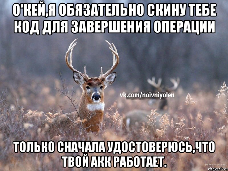 О'кей,я обязательно скину тебе код для завершения операции Только сначала удостоверюсь,что твой акк работает., Мем Наивный Олень vk