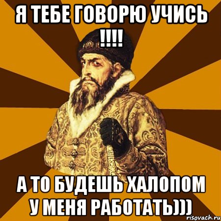 Я тебе говорю учись !!!! А то будешь халопом у меня работать))), Мем Не царское это дело