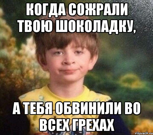 КОГДА СОЖРАЛИ ТВОЮ ШОКОЛАДКУ, А ТЕБЯ ОБВИНИЛИ ВО ВСЕХ ГРЕХАХ, Мем Недовольный пацан