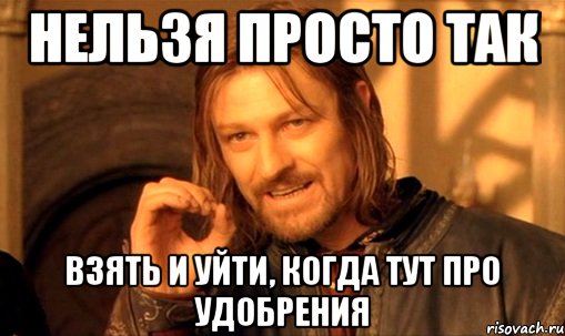 нельзя просто так взять и уйти, когда тут про удобрения, Мем Нельзя просто так взять и (Боромир мем)