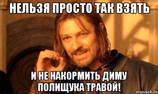 Нельзя просто так взять и не накормить Диму Полищука травой!, Мем Нельзя просто так взять и (Боромир мем)