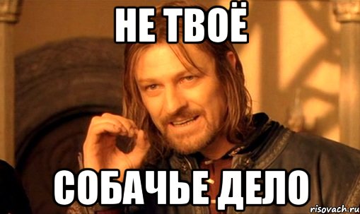 Не твоё собачье дело, Мем Нельзя просто так взять и (Боромир мем)
