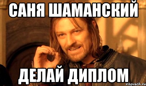 Саня Шаманский Делай диплом, Мем Нельзя просто так взять и (Боромир мем)