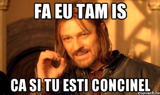 fa eu tam is ca si tu esti concinel, Мем Нельзя просто так взять и (Боромир мем)