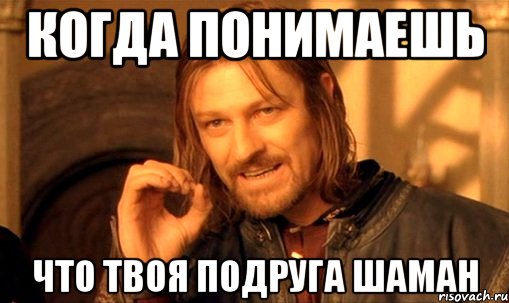 когда понимаешь что твоя подруга шаман, Мем Нельзя просто так взять и (Боромир мем)