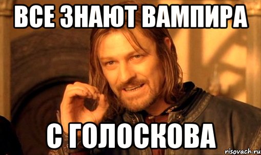 Все знают вампира С Голоскова, Мем Нельзя просто так взять и (Боромир мем)