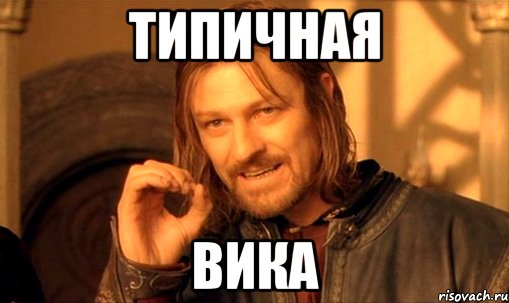 ТИПИЧНАЯ ВИКА, Мем Нельзя просто так взять и (Боромир мем)