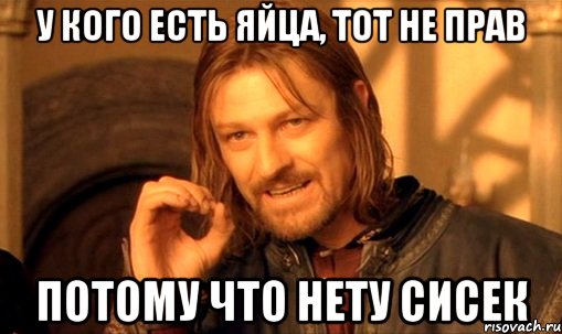 у кого есть яйца, тот не прав потому что нету сисек, Мем Нельзя просто так взять и (Боромир мем)