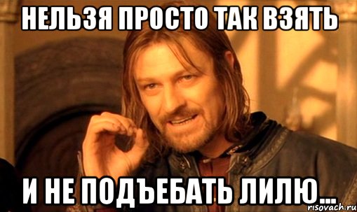 Нельзя просто так взять И не подъебать Лилю..., Мем Нельзя просто так взять и (Боромир мем)