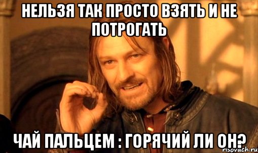 нельзя так просто взять и не потрогать чай пальцем : горячий ли он?, Мем Нельзя просто так взять и (Боромир мем)