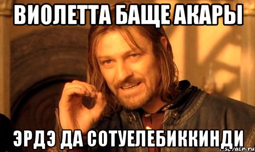 виолетта баще акары эрдэ да сотуелебиккинди, Мем Нельзя просто так взять и (Боромир мем)