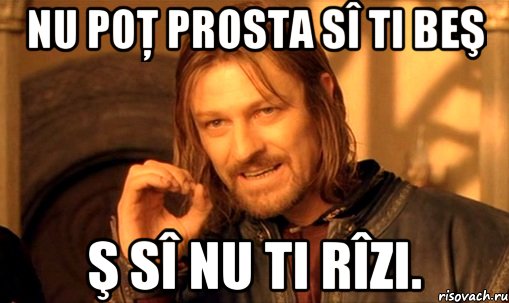 Nu poţ prosta sî ti beş Ş sî nu ti rîzi., Мем Нельзя просто так взять и (Боромир мем)