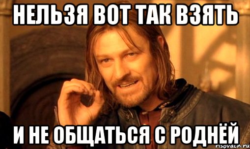 нельзя вот так взять и не общаться с роднёй, Мем Нельзя просто так взять и (Боромир мем)