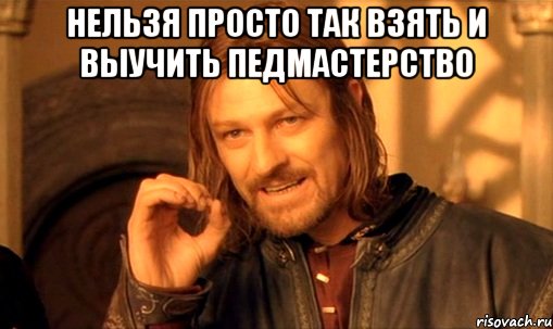 Нельзя просто так взять и выучить педмастерство , Мем Нельзя просто так взять и (Боромир мем)