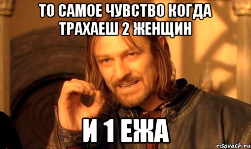 То самое чувство когда трахаеш 2 женщин И 1 ежа, Мем Нельзя просто так взять и (Боромир мем)