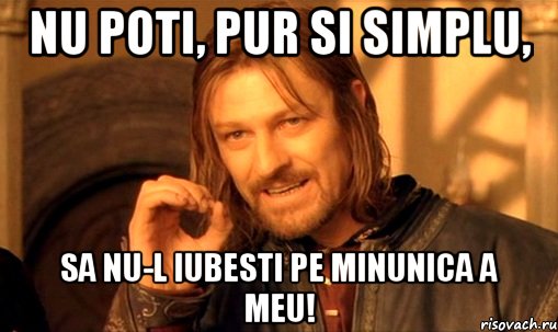 Nu poti, pur si simplu, sa nu-l iubesti pe minunica a meu!, Мем Нельзя просто так взять и (Боромир мем)