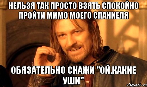 Нельзя так просто взять спокойно пройти мимо моего спаниеля обязательно скажи "ой,какие уши", Мем Нельзя просто так взять и (Боромир мем)