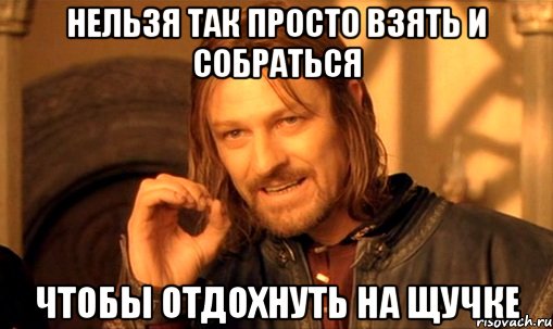 нельзя так просто взять и собраться чтобы отдохнуть на щучке, Мем Нельзя просто так взять и (Боромир мем)