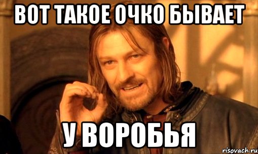 вот такое очко бывает у воробья, Мем Нельзя просто так взять и (Боромир мем)