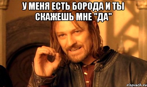 У меня есть борода и ты скажешь мне "да" , Мем Нельзя просто так взять и (Боромир мем)