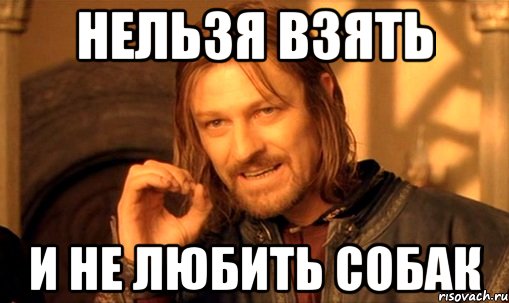 Нельзя взять и не любить собак, Мем Нельзя просто так взять и (Боромир мем)