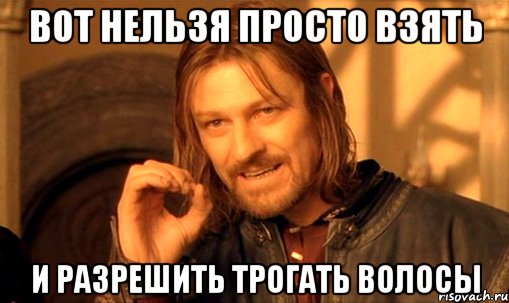 вот нельзя просто взять и разрешить трогать волосы, Мем Нельзя просто так взять и (Боромир мем)