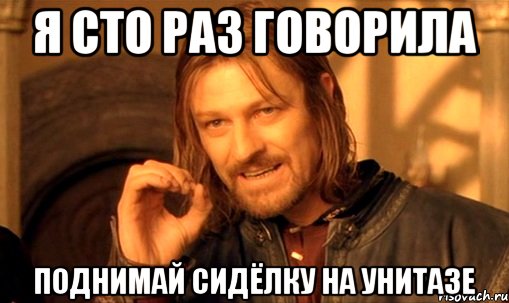 я сто раз говорила поднимай сидёлку на унитазе, Мем Нельзя просто так взять и (Боромир мем)