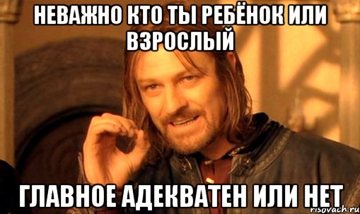 Неважно кто ты ребёнок или взрослый Главное адекватен или нет, Мем Нельзя просто так взять и (Боромир мем)