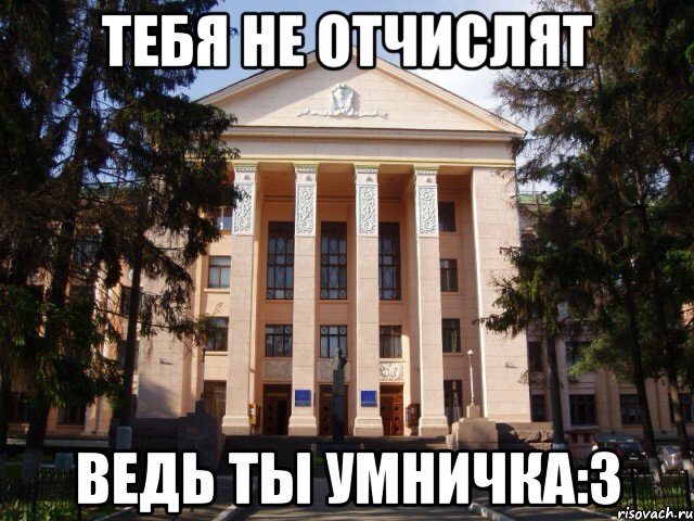 Тебя не отчислят Ведь ты умничка:З