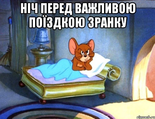 НІЧ ПЕРЕД ВАЖЛИВОЮ ПОЇЗДКОЮ ЗРАНКУ 
