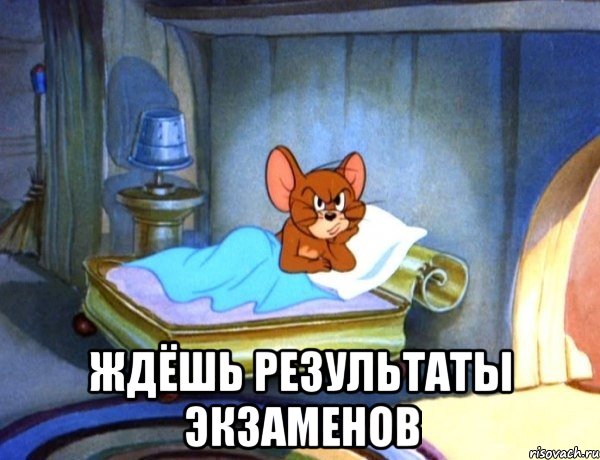  ждёшь результаты экзаменов