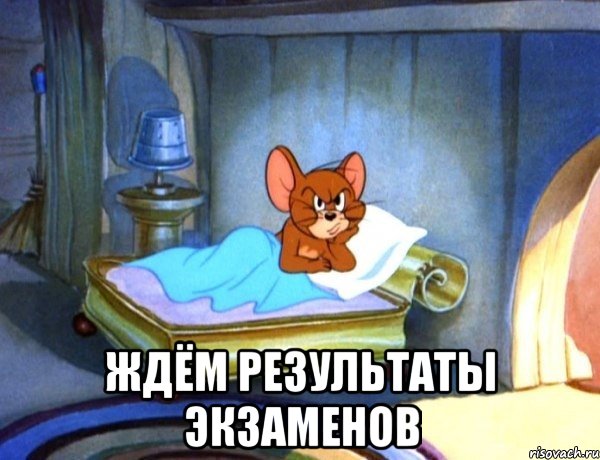  ждём результаты экзаменов
