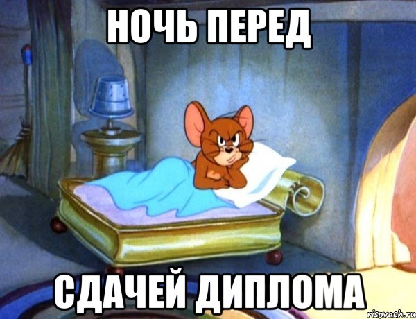 ночь перед сдачей диплома