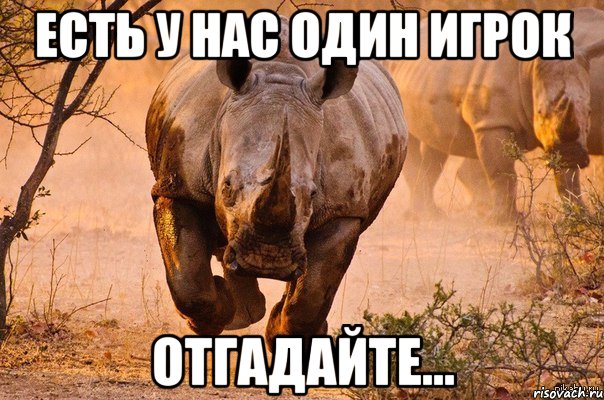 есть у нас один игрок отгадайте..., Мем носорог