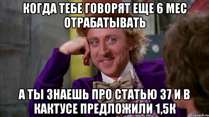 когда тебе говорят еще 6 мес отрабатывать а ты знаешь про Статью 37 и в кактусе предложили 1,5К, Мем Ну давай расскажи (Вилли Вонка)