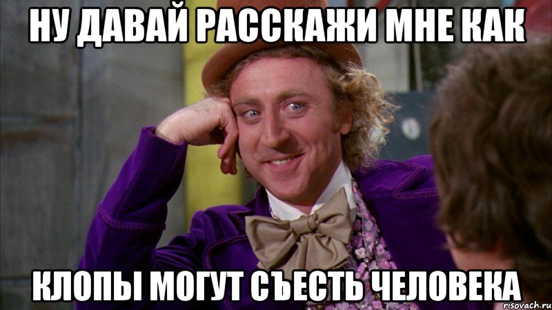 Ну давай расскажи мне как клопы могут съесть человека, Мем Ну давай расскажи (Вилли Вонка)