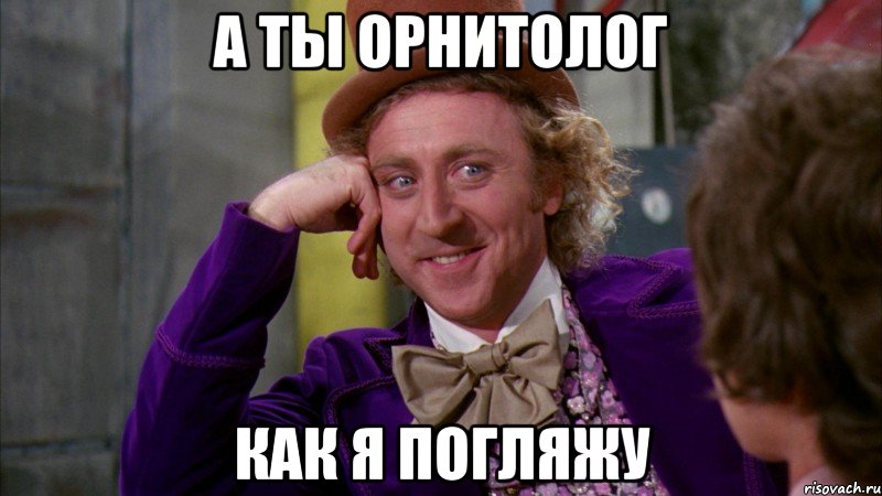 а ты орнитолог как я погляжу, Мем Ну давай расскажи (Вилли Вонка)