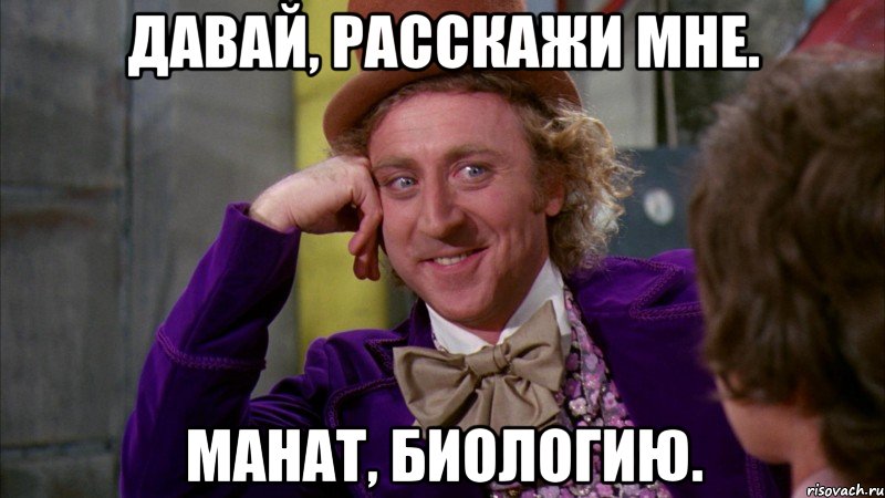 Давай, расскажи мне. Манат, биологию., Мем Ну давай расскажи (Вилли Вонка)