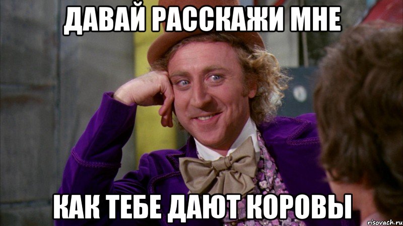 Давай расскажи мне Как тебе дают коровы, Мем Ну давай расскажи (Вилли Вонка)