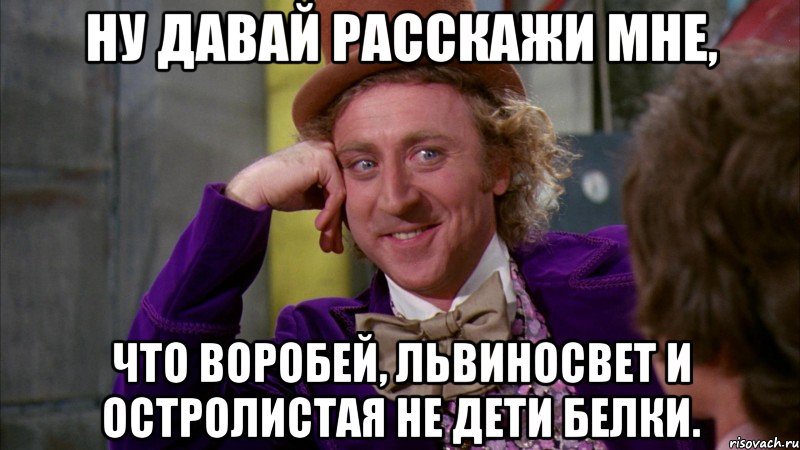 Ну давай расскажи мне, что Воробей, Львиносвет и Остролистая не дети Белки., Мем Ну давай расскажи (Вилли Вонка)