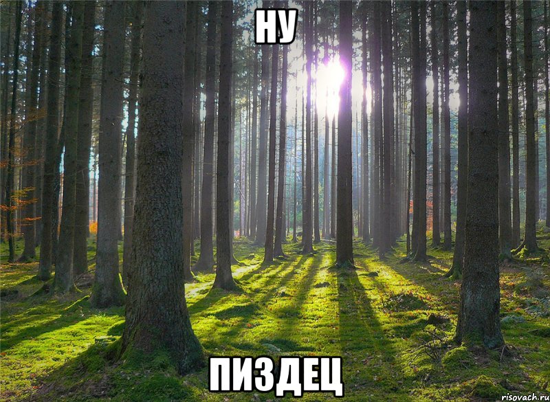 ну пиздец, Мем ну пиздец