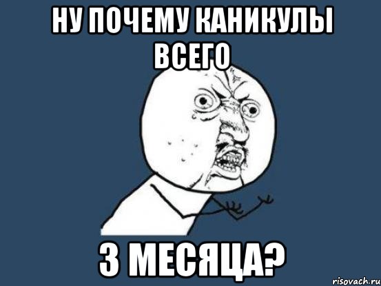 Ну почему каникулы всего 3 месяца?, Мем Ну почему