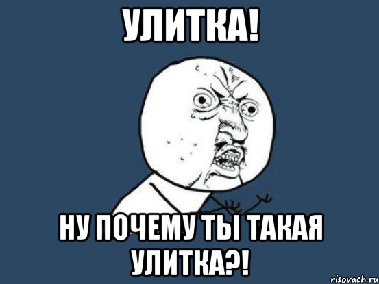 Улитка! Ну почему ты такая улитка?!, Мем Ну почему